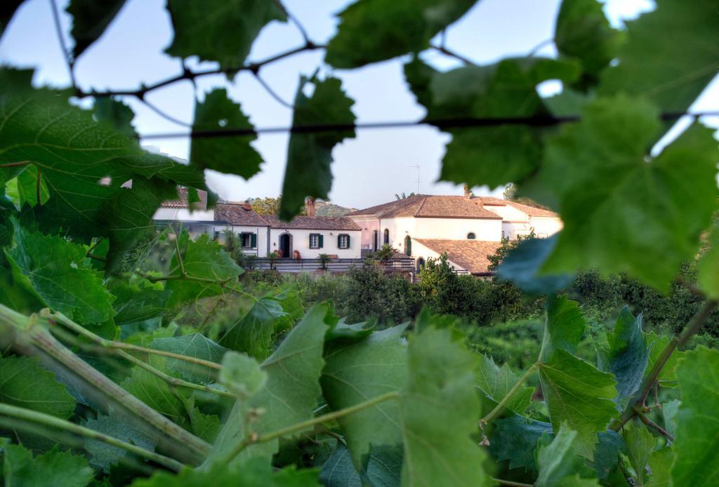 Casa Vacanze Etna Piedimonte Etneo Luaran gambar