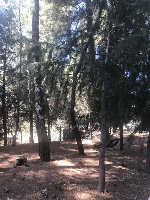 Casa Vacanze Etna Piedimonte Etneo Luaran gambar