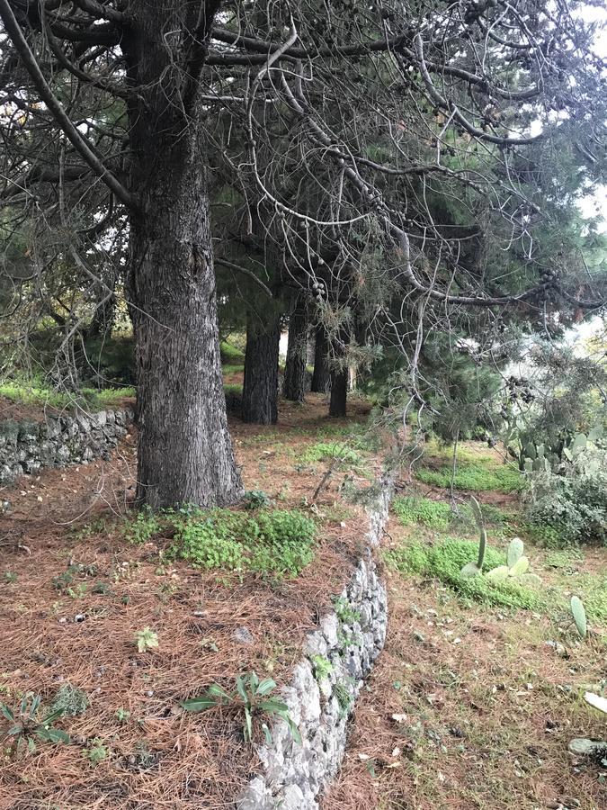 Casa Vacanze Etna Piedimonte Etneo Luaran gambar